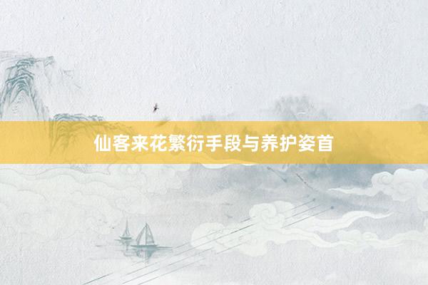 仙客来花繁衍手段与养护姿首